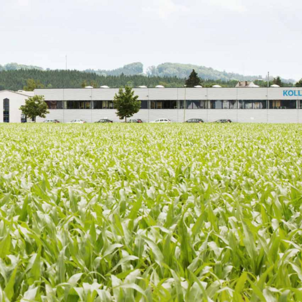 Ein großes, grünes Feld mit einem der CB Kollinger Gebäude im Hintergrund.